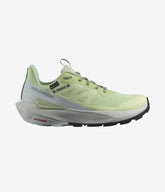 ELIXIR ACTIV GORE-TEX Hiking Shoes - SalomonGCC